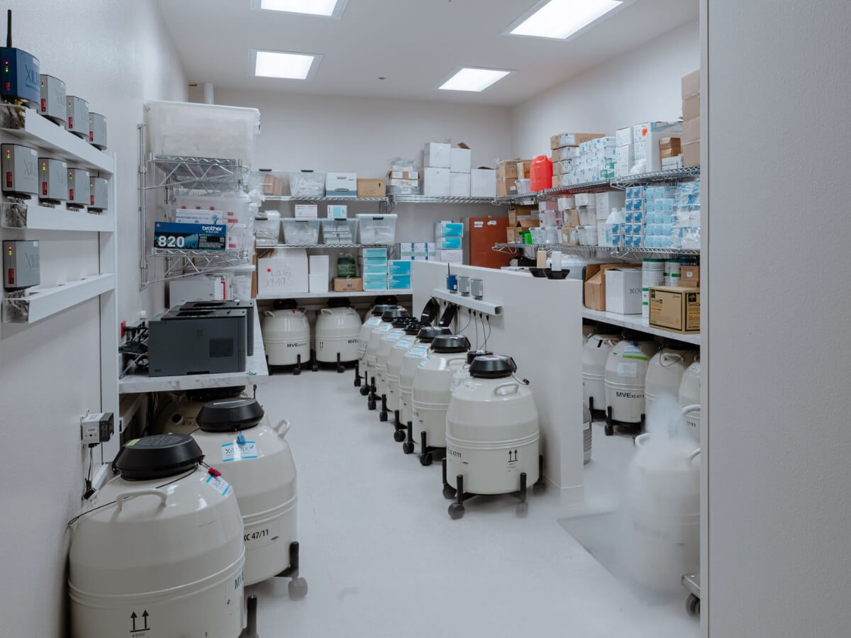 IVF incubator equipment and laboratory trays