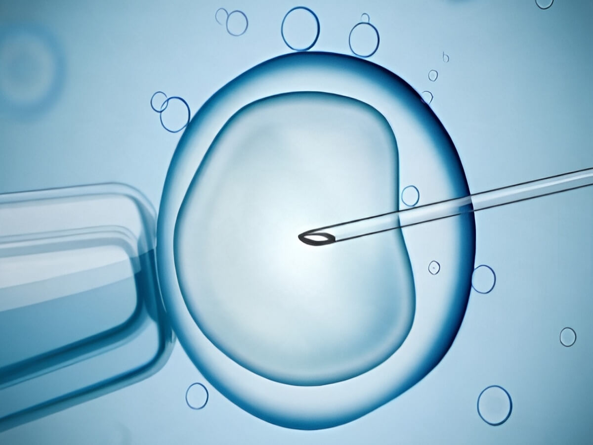 IVF laboratory dropper and petri dish