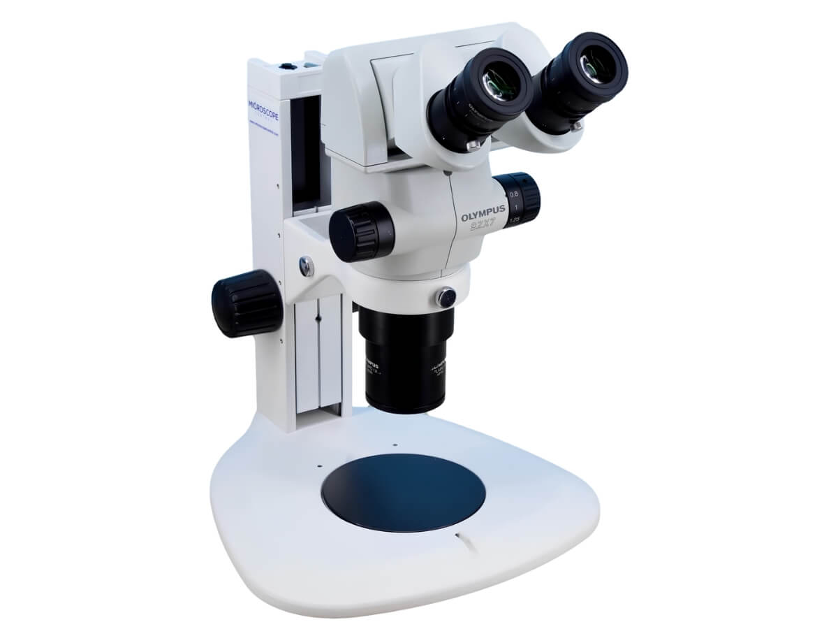 Olympus Stereo Microscopes