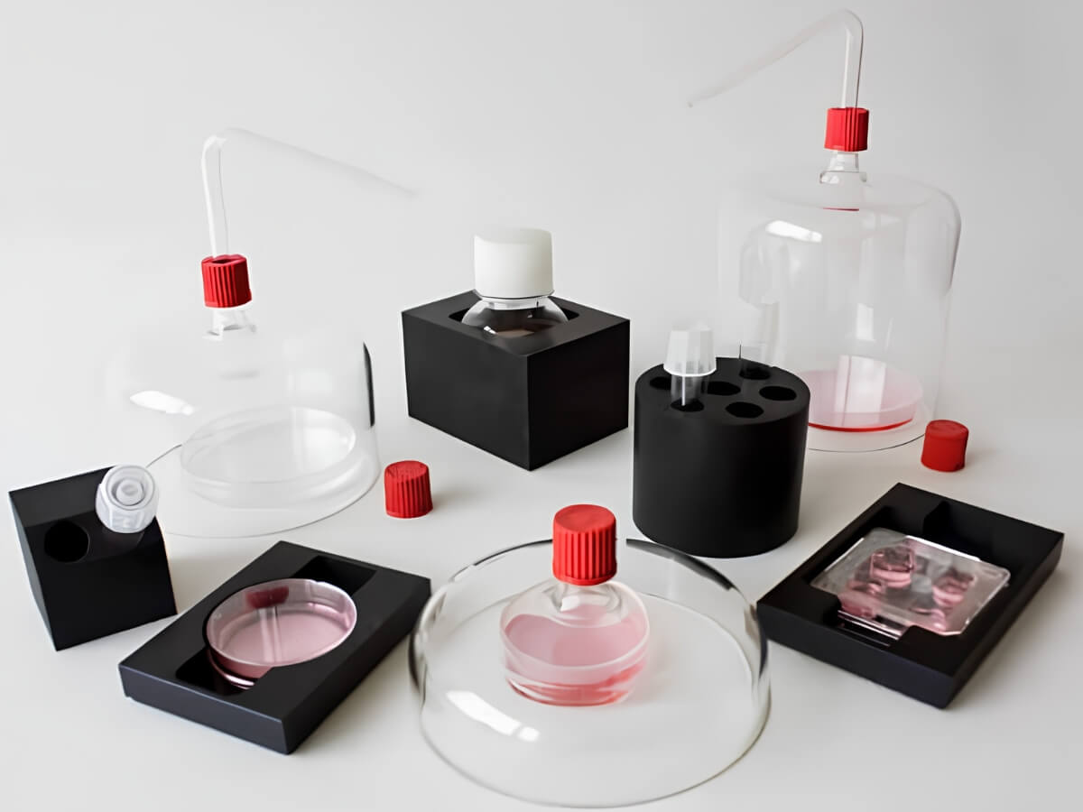 Warming Blocks & Glass Incubator Hoods
